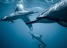 开云体育下载官网-亚亚-图雷入驻小红书：在这里，我想和你们分享的不只是足球